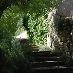 Center Escape To Nature 3*