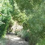 Center Escape To Nature
