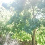Center Escape To Nature 3* Sintra