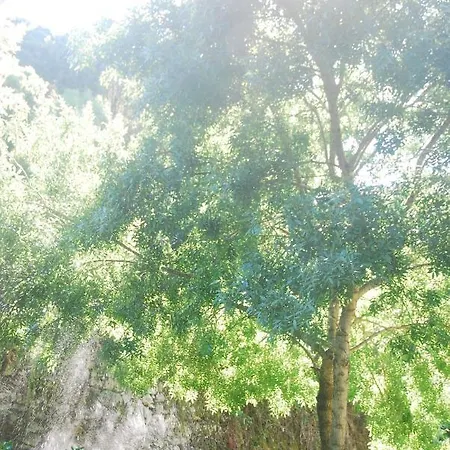 Center Escape To Nature * Sintra