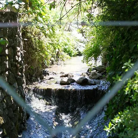 בית הארחה Center Escape To Nature *