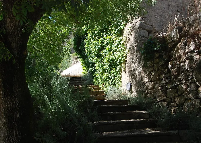 Center Escape To Nature 3*