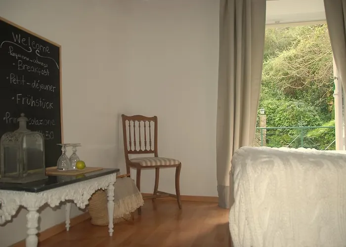 Center Escape To Nature