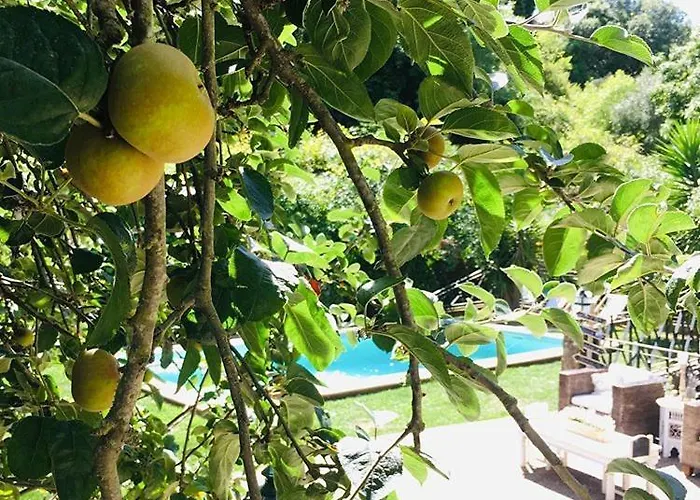 Center Escape To Nature Casa de hóspedes 3*